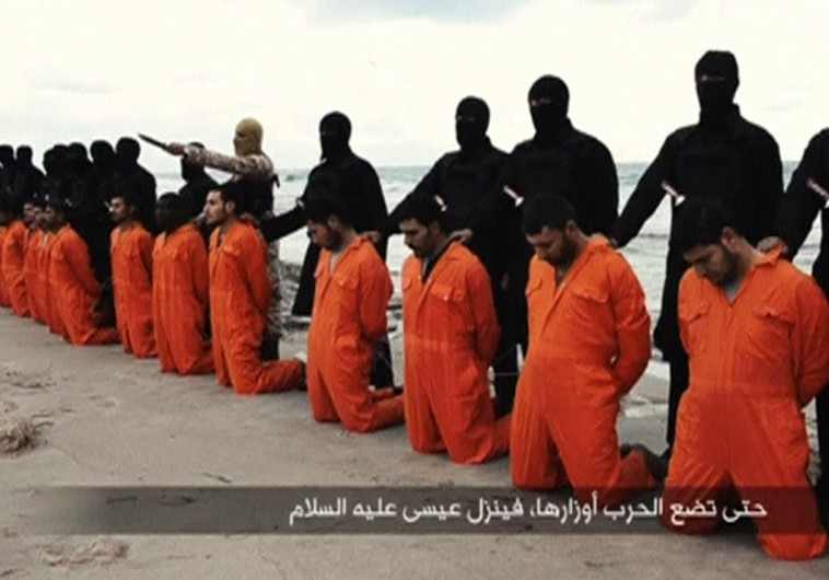 wp-1456175230008 image