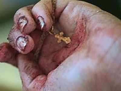 wp-1456175308733 image